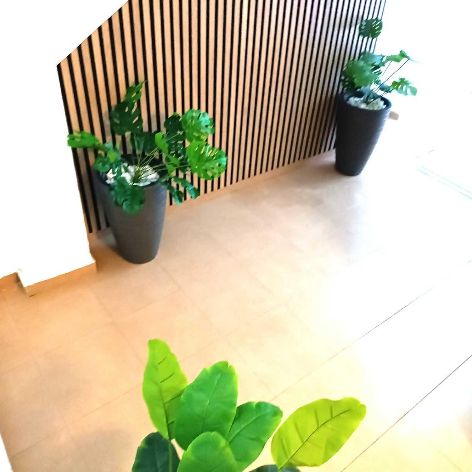Apartamentos Larios Málaga Esterno foto