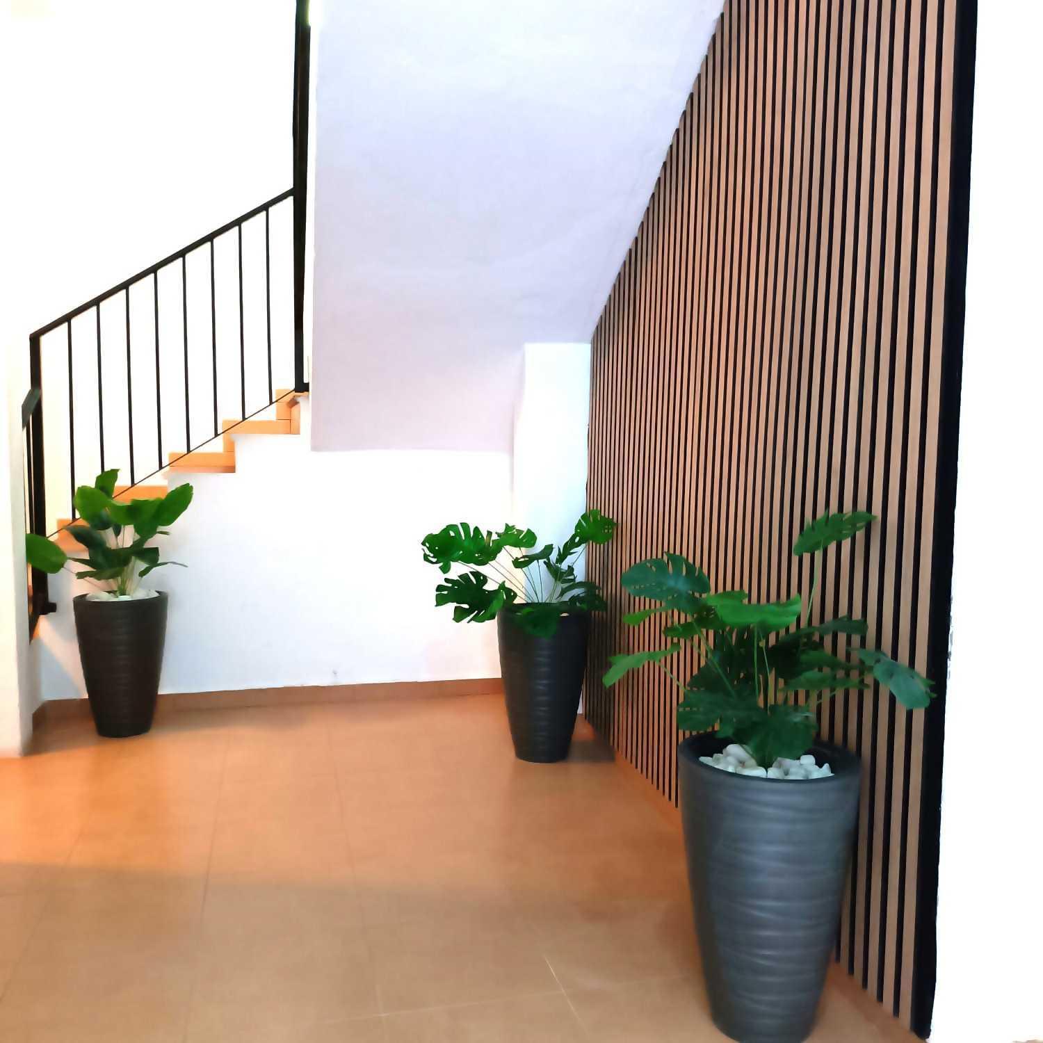 Apartamentos Larios Málaga Esterno foto