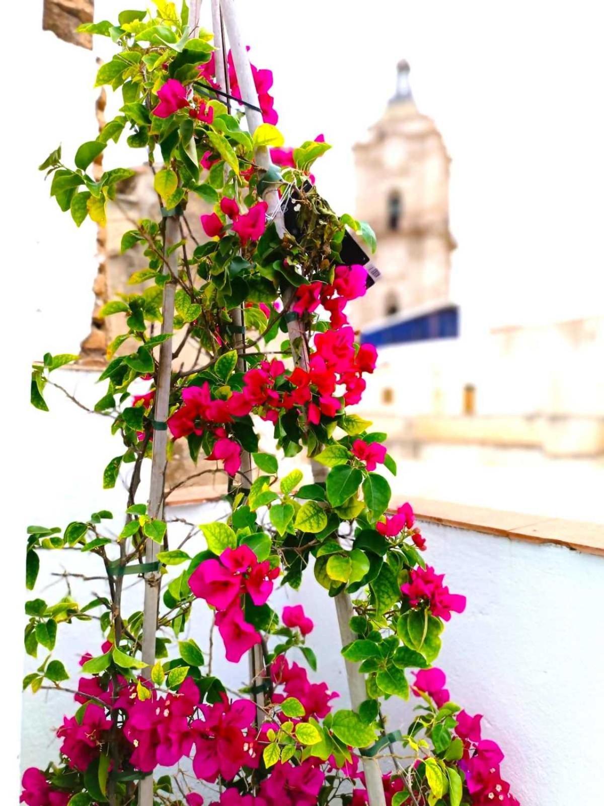 Apartamentos Larios Málaga Esterno foto